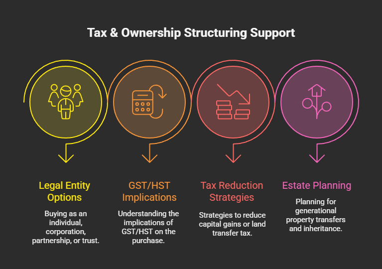Tax & Ownership Structuring Support